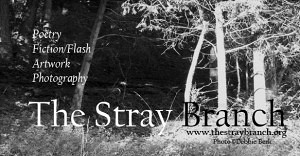 The Stray Branch -- Photo by Debbie Berk