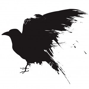 Vector raven or crow in grunge style