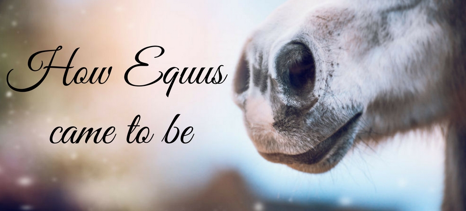 How Equus Came To Be