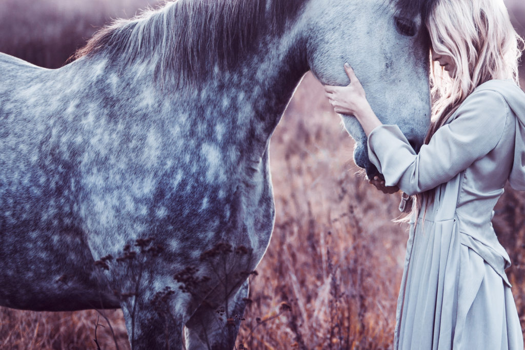 Beautiful blonde woman with horse in the field, effect of toning